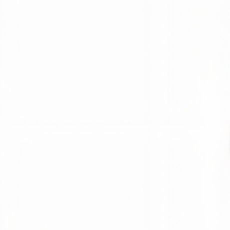 S. Hadjistyllis - Product, Surfaces & Materials - Porcelain Granite - bianco extra - Italslab 1